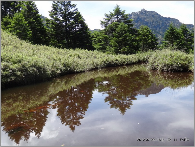 2012-07-11 10-14-34審馬陣山屋旁水池.JPG